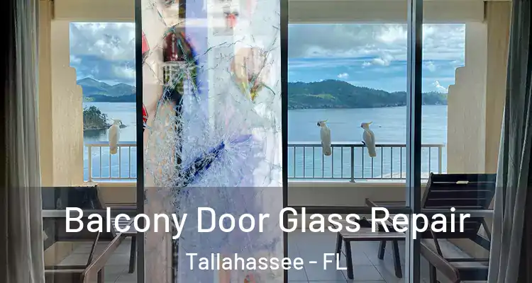 Balcony Door Glass Repair Tallahassee - FL