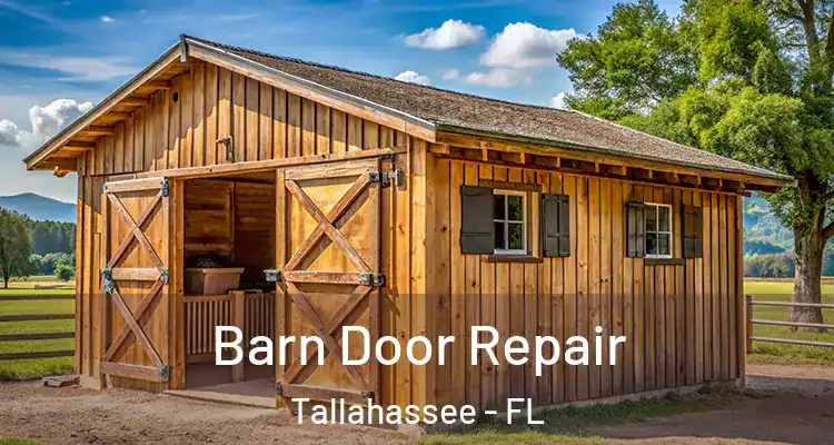 Barn Door Repair Tallahassee - FL