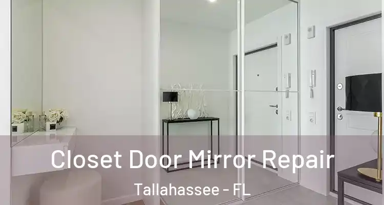 Closet Door Mirror Repair Tallahassee - FL