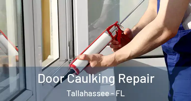 Door Caulking Repair Tallahassee - FL