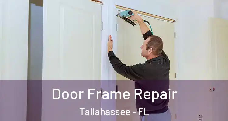 Door Frame Repair Tallahassee - FL