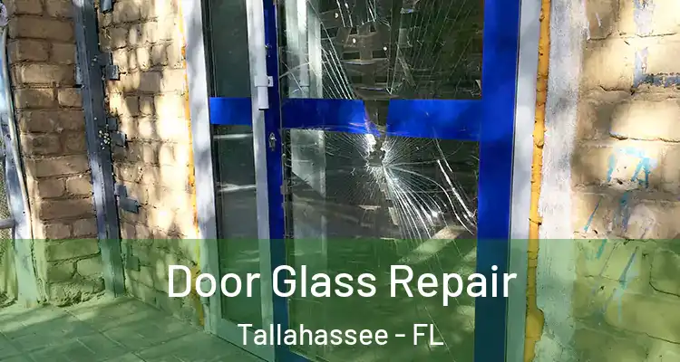 Door Glass Repair Tallahassee - FL