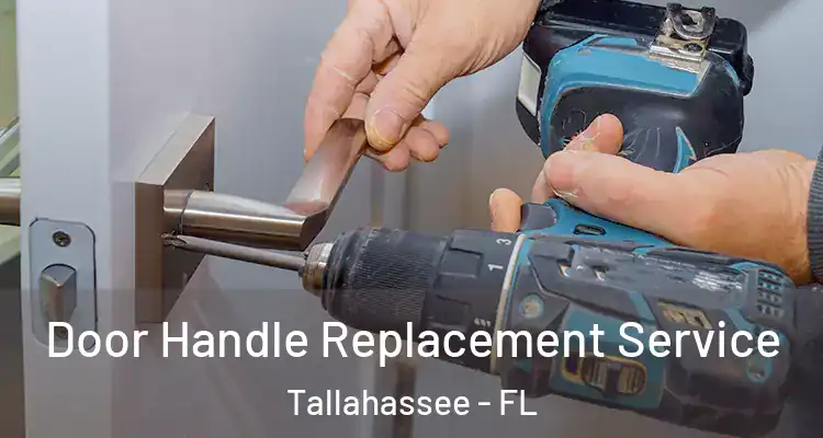 Door Handle Replacement Service Tallahassee - FL