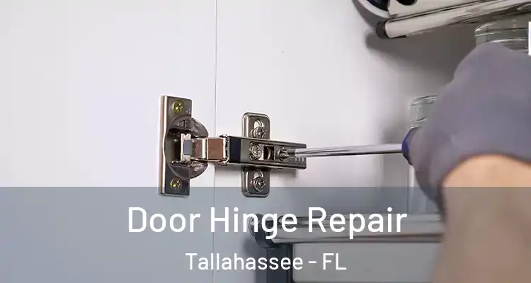 Door Hinge Repair Tallahassee - FL