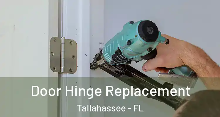 Door Hinge Replacement Tallahassee - FL