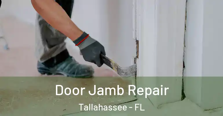 Door Jamb Repair Tallahassee - FL