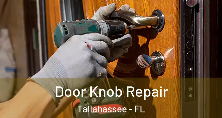 Door Knob Repair Tallahassee - FL