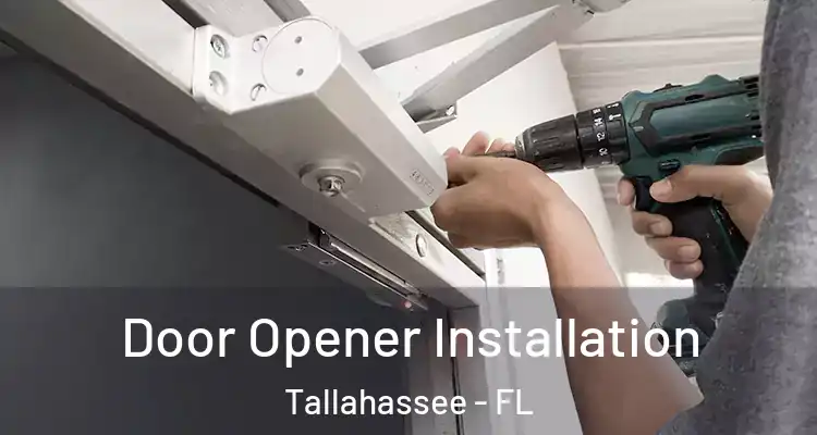 Door Opener Installation Tallahassee - FL