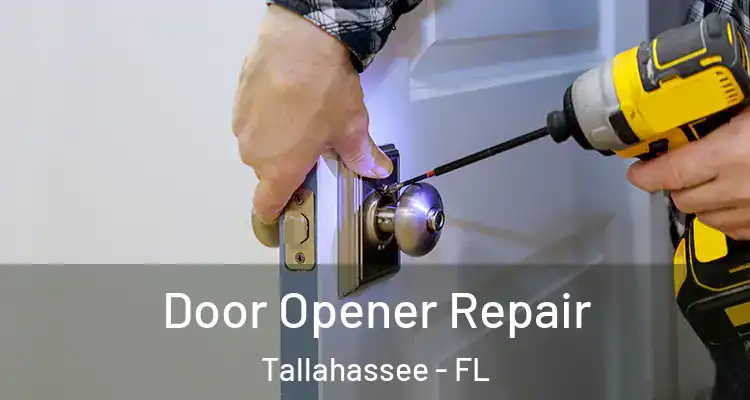 Door Opener Repair Tallahassee - FL