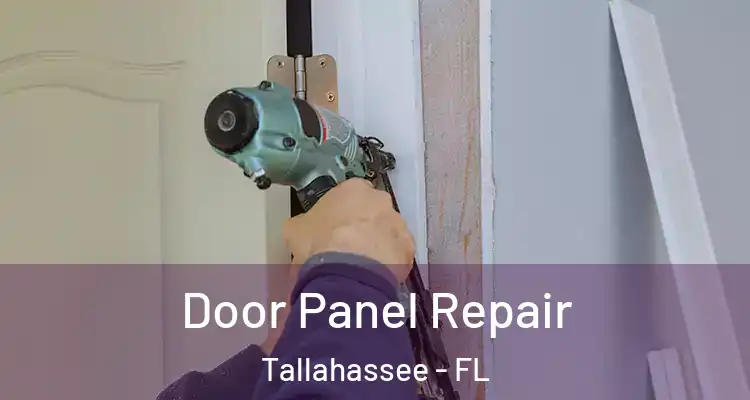 Door Panel Repair Tallahassee - FL