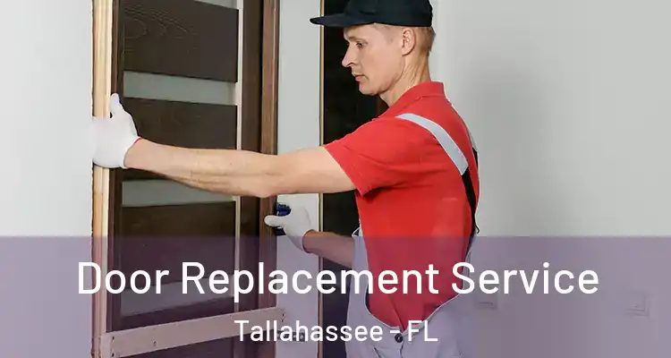Door Replacement Service Tallahassee - FL