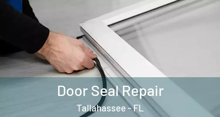 Door Seal Repair Tallahassee - FL