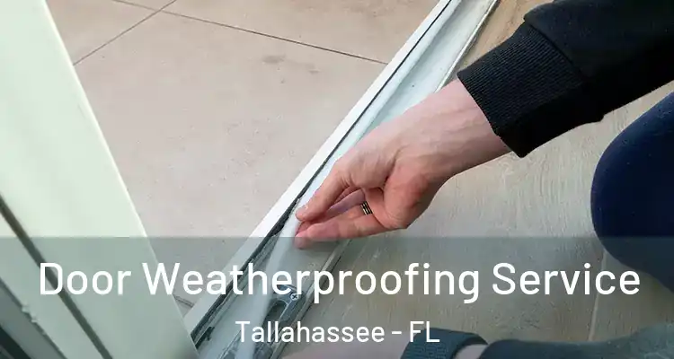 Door Weatherproofing Service Tallahassee - FL