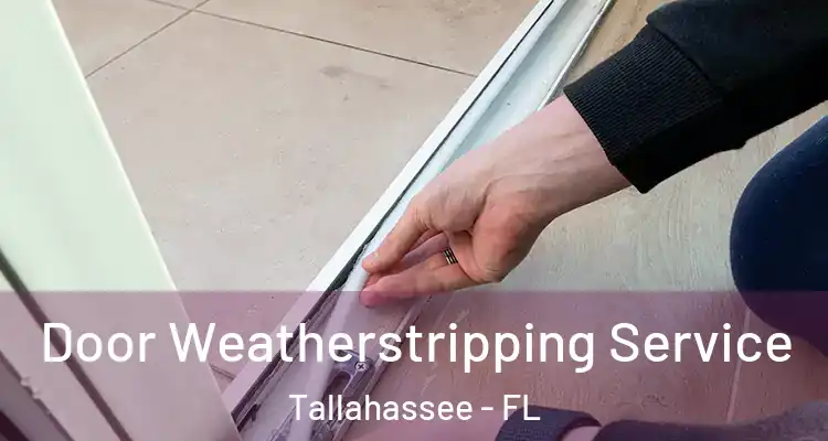 Door Weatherstripping Service Tallahassee - FL