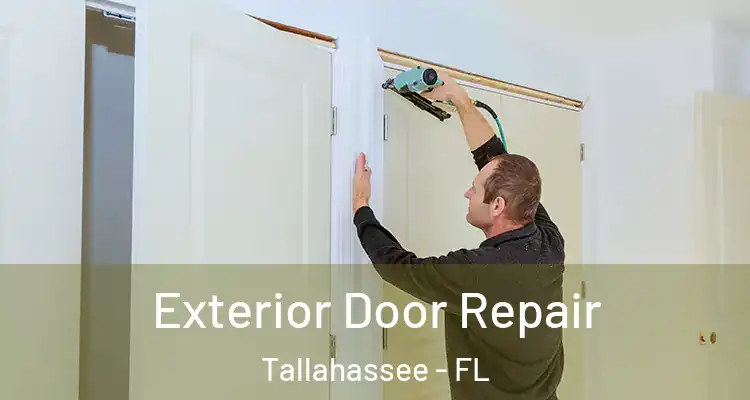 Exterior Door Repair Tallahassee - FL