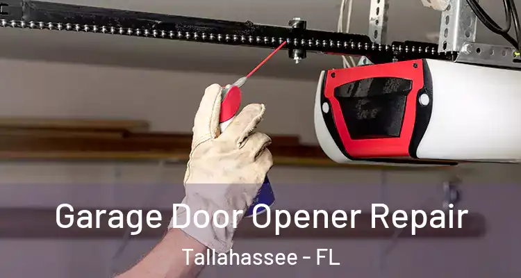 Garage Door Opener Repair Tallahassee - FL