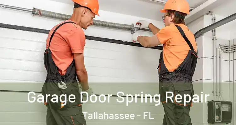 Garage Door Spring Repair Tallahassee - FL