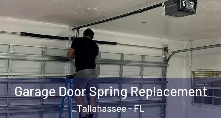 Garage Door Spring Replacement Tallahassee - FL