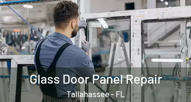 Glass Door Panel Repair Tallahassee - FL