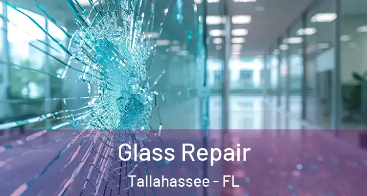 Glass Repair Tallahassee - FL