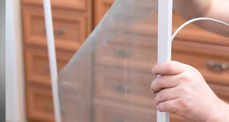 Privacy Mesh Screen Door Installation in Tallahassee, FL