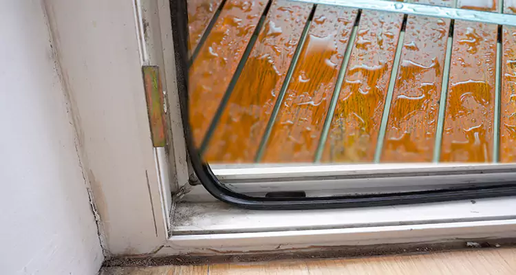 Water Leaking Wooden Patio Doors Repair in Tallahassee, FL