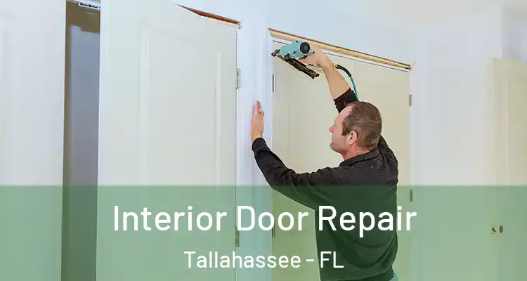 Interior Door Repair Tallahassee - FL