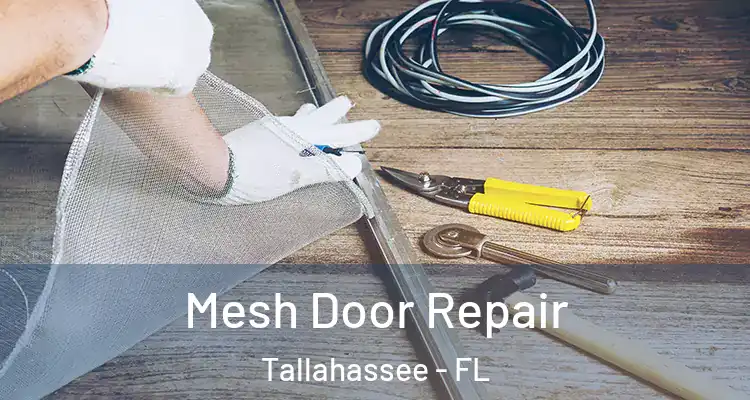 Mesh Door Repair Tallahassee - FL