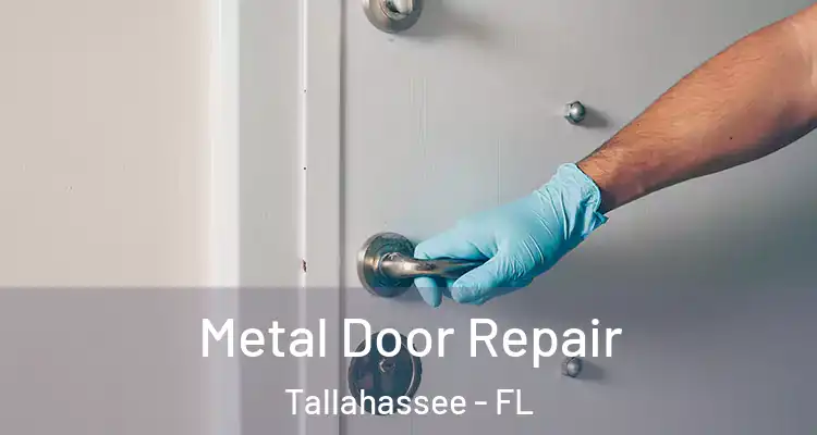 Metal Door Repair Tallahassee - FL