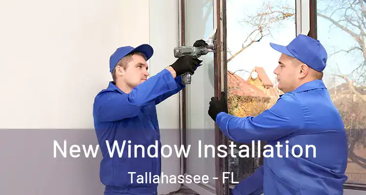 New Window Installation Tallahassee - FL