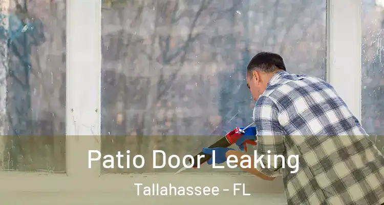 Patio Door Leaking Tallahassee - FL