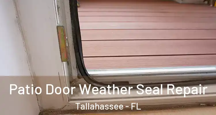 Patio Door Weather Seal Repair Tallahassee - FL
