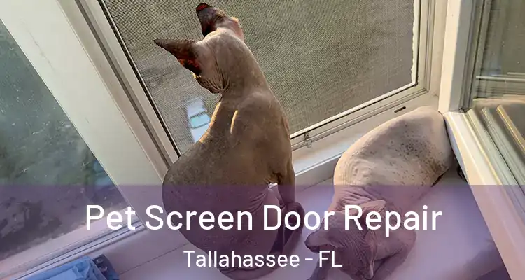 Pet Screen Door Repair Tallahassee - FL