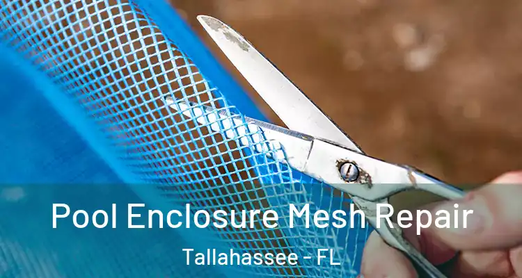 Pool Enclosure Mesh Repair Tallahassee - FL