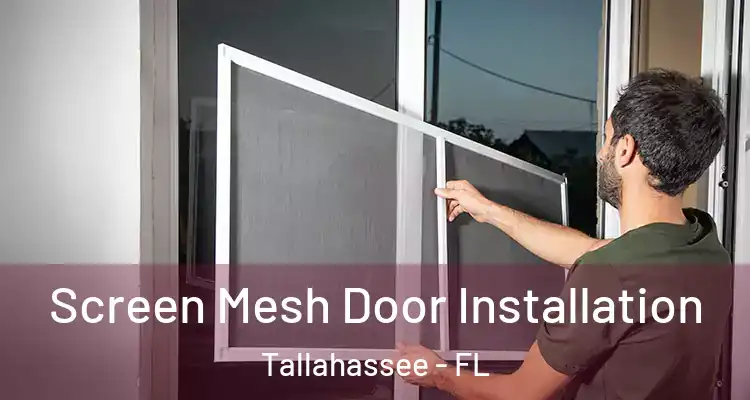 Screen Mesh Door Installation Tallahassee - FL