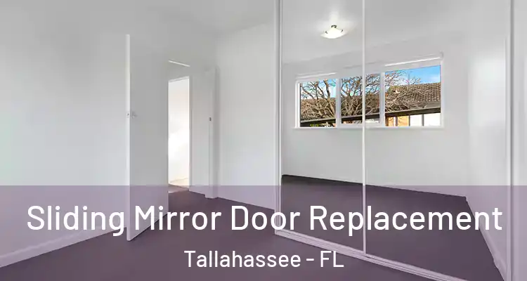 Sliding Mirror Door Replacement Tallahassee - FL
