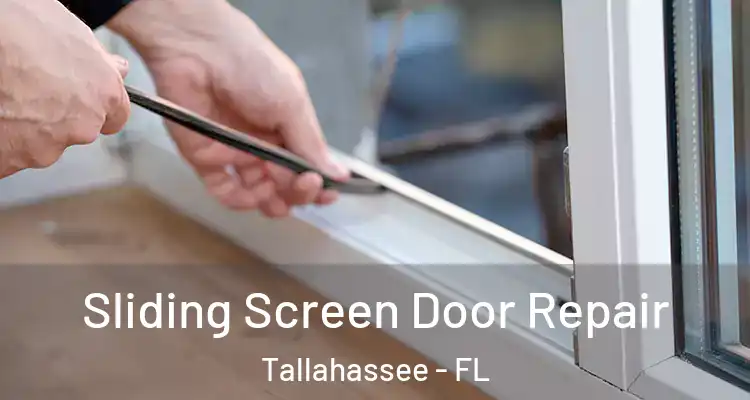 Sliding Screen Door Repair Tallahassee - FL