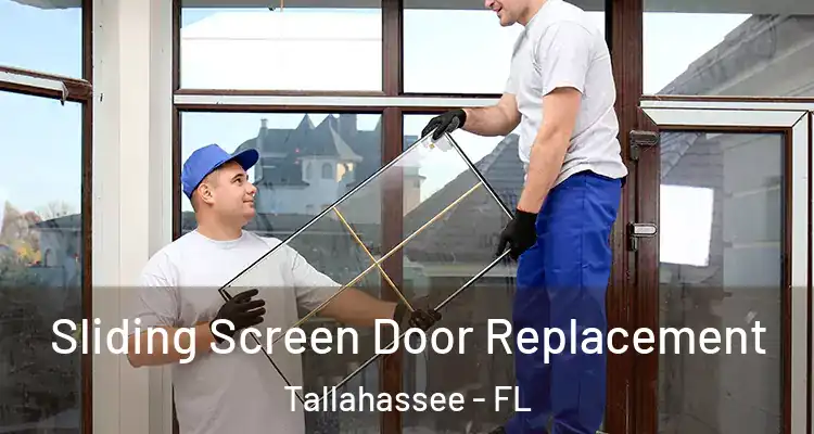 Sliding Screen Door Replacement Tallahassee - FL