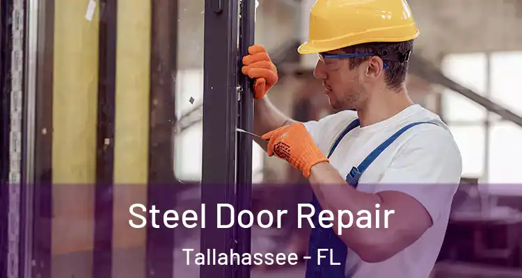 Steel Door Repair Tallahassee - FL