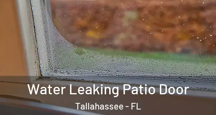 Water Leaking Patio Door Tallahassee - FL