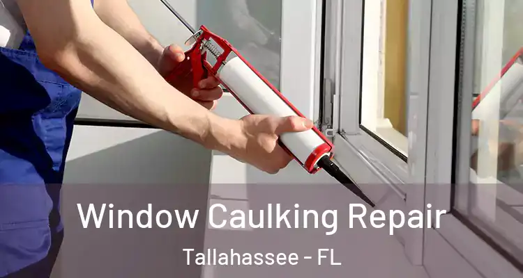 Window Caulking Repair Tallahassee - FL