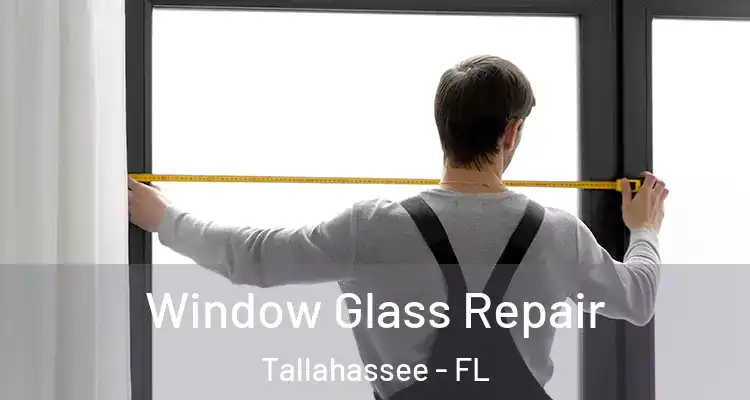 Window Glass Repair Tallahassee - FL