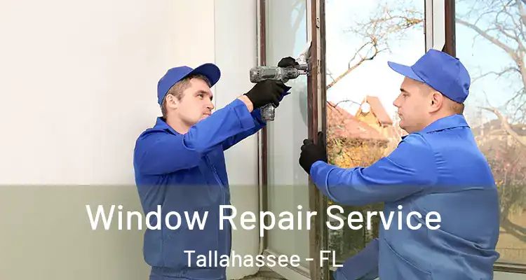 Window Repair Service Tallahassee - FL
