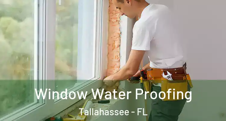 Window Water Proofing Tallahassee - FL