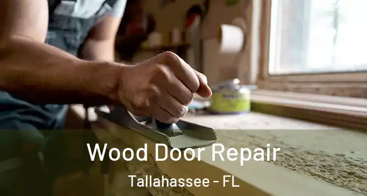Wood Door Repair Tallahassee - FL